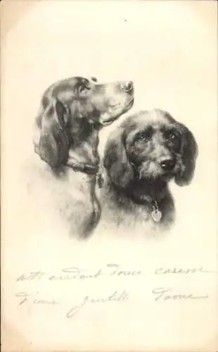 Litho Zwei Hunde, Tierporträt