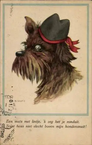 Künstler Ak Cooper, B., Terrier-Porträt, Hut, Hund