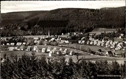 Ak Bigge Olsberg im Sauerland, Gesamtansicht