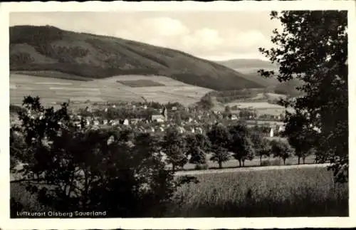 Ak Olsberg im Sauerland, Panorama