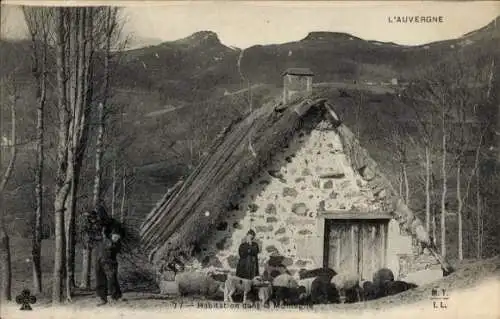 Ak L'Auvergne, Habitation dans la Montagne, Schafe