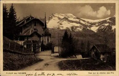 Ak Fleur des Neiges, vue sur la chaine des Fiz