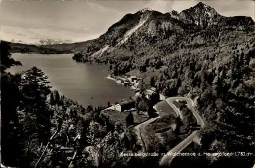 Ak Walchensee Kochel am See, Kesselbergstraße, Herzogsstand, Panorama