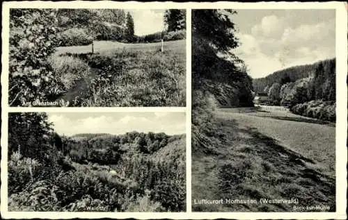 Ak Horhausen im Westerwald, Blick zur Mühle, Grenzbach, Waldidyll