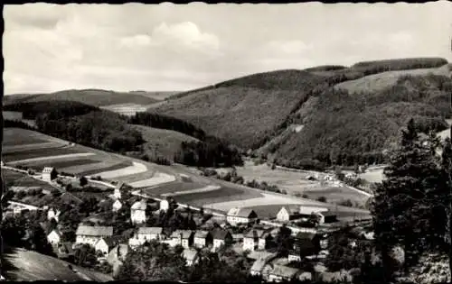 Ak Schwalefeld Willingen Upland Waldeck, Panorama