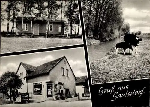 Ak Saalsdorf Bahrdorf Niedersachsen, Uferpartie, Kühe, Edeka Markt, Wohnhaus