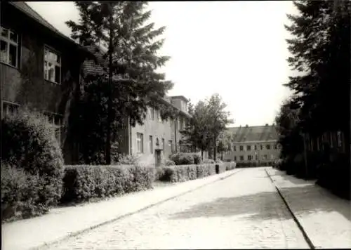 Ak Neu Seddin Neuseddin Seddiner See Brandenburg, Thielenstraße