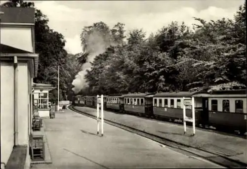 Ak Heiligendamm Bad Doberan, Bahnhof mit Bäderbahn Molli, Bahnstrecke