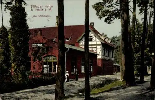 Ak Dölauer Heide Sachsen Anhalt, Waldkater, Straßenpartie