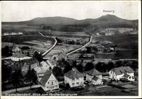 Ak Stadtoldendorf in Niedersachsen, Panorama, Homburg