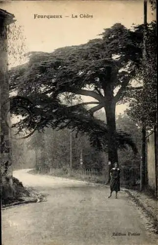 Ak Fourqueux Yvelines, Le Cedre