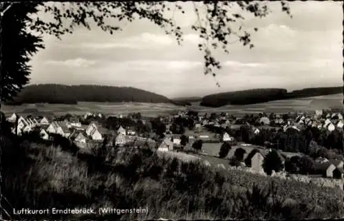 Ak Erndtebrück Nordrhein Westfalen, Panorama