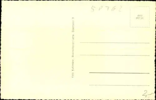 Ak Dahle Altena im Sauerland, CVJM Vereinshaus, Panoramaansicht, Wohnhäuser, Wald