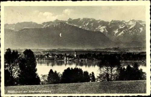 Ak Seeshaupt am Starnberger See, Panorama