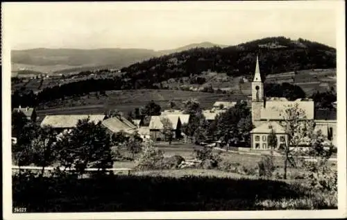 Ak Bischofsreut Haidmühle Bayrischer Wald Niederbayern, Teilansicht, Kirche