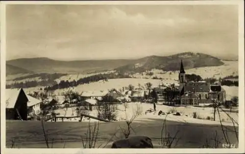 Ak Bischofsreut Haidmühle Bayrischer Wald Niederbayern, Teilansicht, Kirche