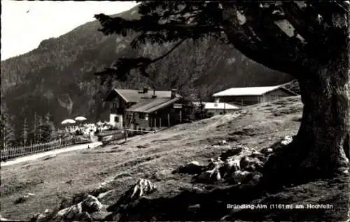 Ak Bergen im Chiemgau in Oberbayern, Hochfelln, Bründling-Alm