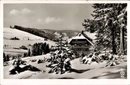 Ak Falkau Feldberg im Schwarzwald, Haus Sonnwärts, Winter