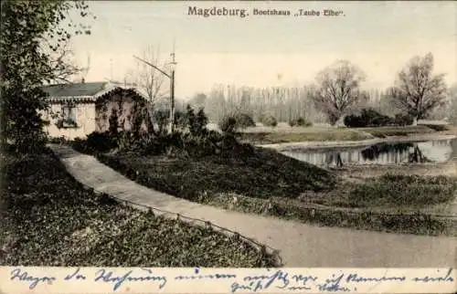 Ak Magdeburg an der Elbe, Bootshaus Taube Elbe