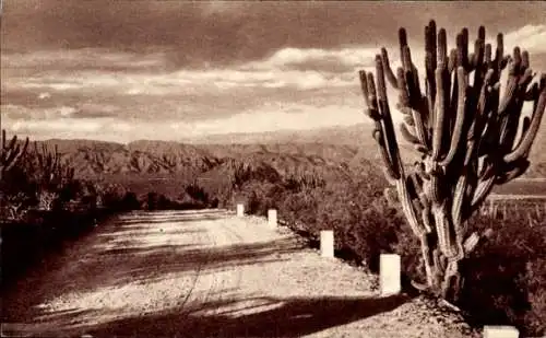 Ak Catamarca Argentinien, Straße nach El Jumial