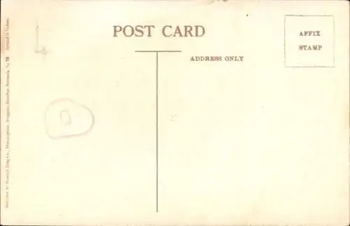 Ak Bermuda, Springfield Avenue