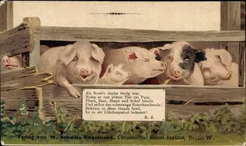 Litho Schweine im Schweinestall, Schweine-Familie, Bauernhof