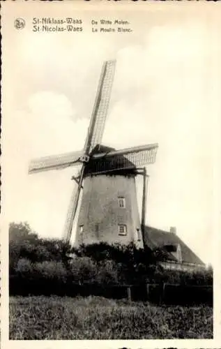 Ak Sint Niklaas Waas Ostflandern, Moulin Blanc