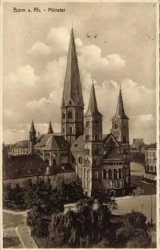 Ak Bonn am Rhein, Münster