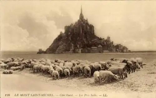 Ak Le Mont Saint Michel Manche, Cote Ouest, Les Pres Sales