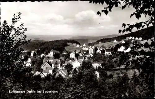 Ak Dahle Altena im Sauerland, Gesamtansicht