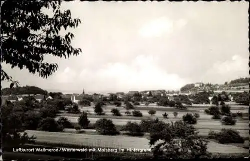 Ak Wallmerod im Westerwald, Panorama, Malsberg