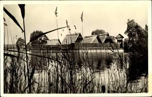 Ak Unteruhldingen Uhldingen Mühlhofen am Bodensee, Freilichtmuseum, Pfahldorf