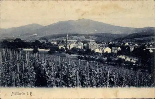 Ak Müllheim in Baden Markgräflerland, Gesamtansicht, Kirchturm