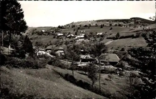 Ak Aitern im Schwarzwald, Badischer Belchen, Belchenhotel, Panorama