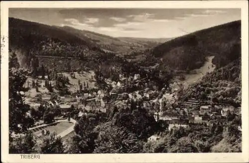 Ak Triberg im Schwarzwald, Totalansicht