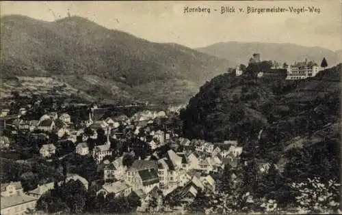 Ak Hornberg im Schwarzwald, Totalansicht, Blick vom Bürgermeister-Vogel-Weg