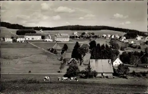 Ak Schönwald im Schwarzwald, Gesamtansicht