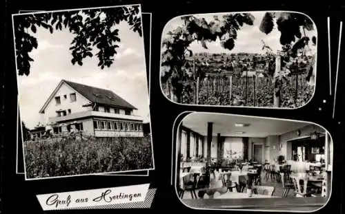 Ak Hertingen Bad Bellingen am Rhein Baden, Gasthaus und Pension Hebelhof, Weinberg, Gastraum