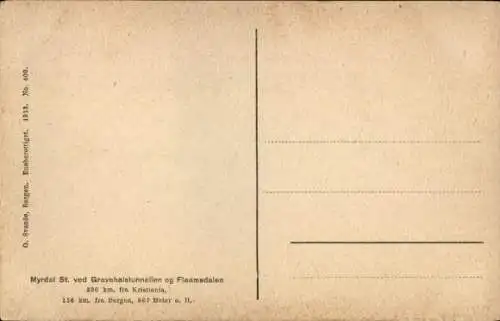 Ak Norwegen, Myrdal St. ved Gravehalstunnellen og Flaamsdalen