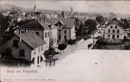 Ak Frauenfeld Kanton Thurgau, Panorama