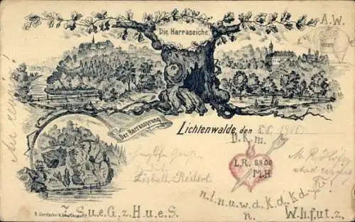 Litho Lichtenwalde Niederwiesa Sachsen, Harrassprung, Harraseiche