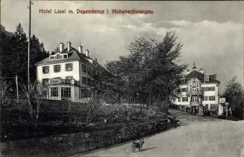 Ak Hohenschwangau Schwangau im schwäbischen Kreis Ostallgäu, Hotel Liesl mit Dependance