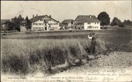 Ak Chaux d'Abel Kanton Bern, Bauer auf dem Feld, Teilansicht