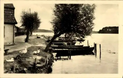 Ak Lychen in der Uckermark, Strandpromenade, Oberpfuhl