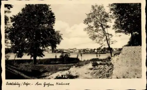 Ak Szczytno Ortelsburg Ostpreußen, Am großen Haussee