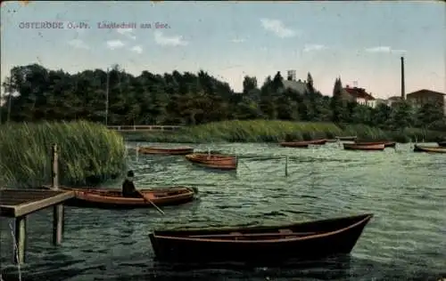 Ak Ostróda Osterode Ostpreußen, Ruderboote auf dem See