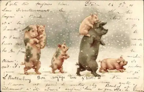 Litho Schweinefamilie, Ferkel, Winter, Schneesturm