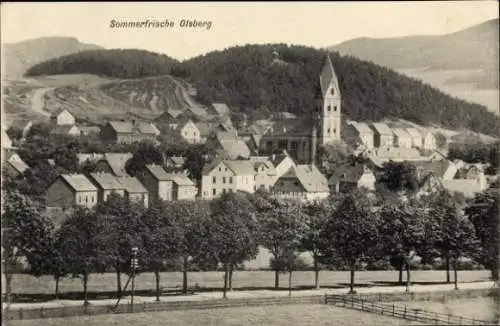 Ak Olsberg im Sauerland, Gesamtansicht