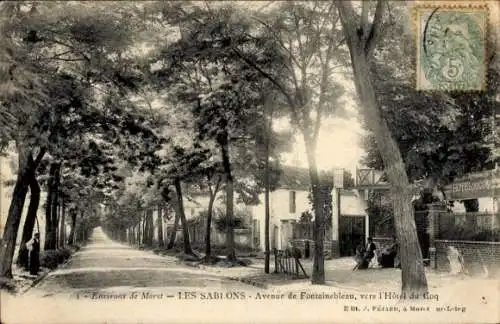 Ak Les Sabi Ons Seine et Marne, Avenue de Fontainebleau, vers l'Hotel du Coq