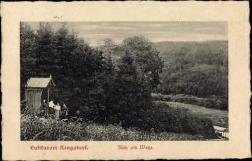 Ak Rengsdorf im Westerwald, Ruh am Wege, Panorama